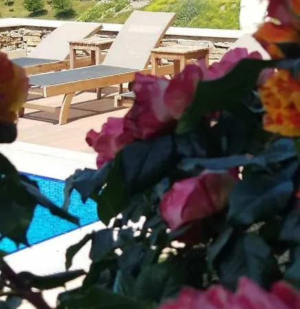 Szálloda Vinifera Ephesus Selçuk