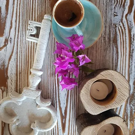 Szálloda Vinifera Ephesus