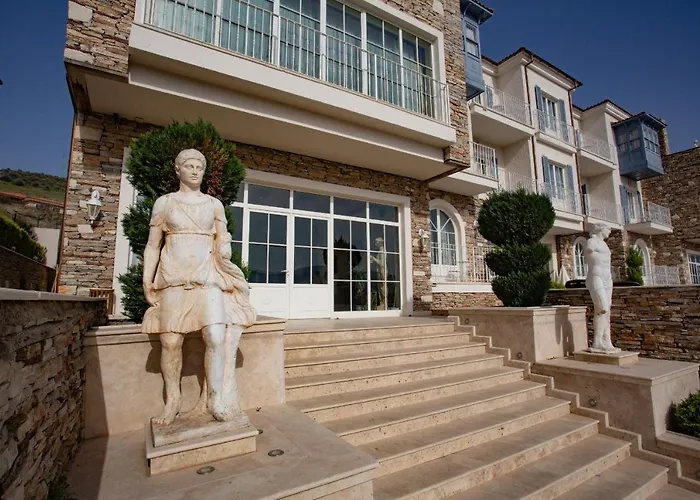Vinifera Ephesus 3*