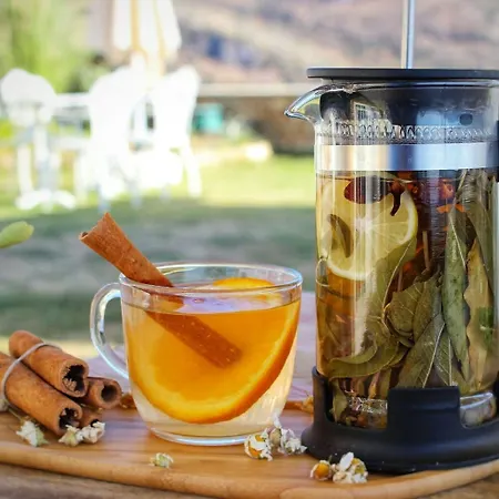 호텔 Vinifera Ephesus 셀주크