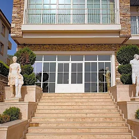 Vinifera Ephesus 塞尔丘克