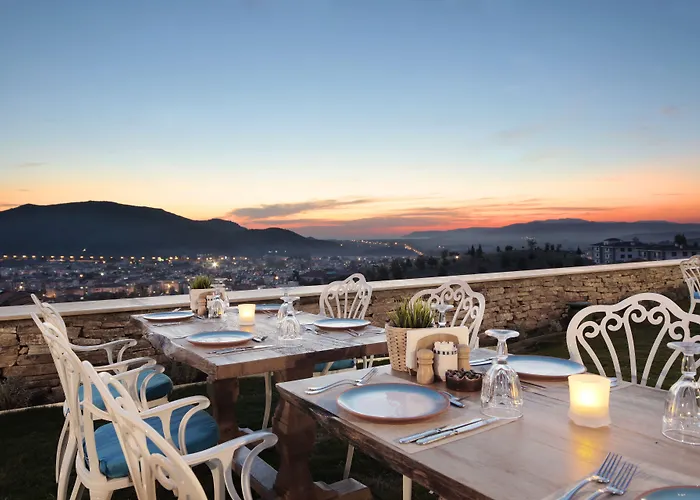 Vinifera Ephesus 3* Σελτσούκ