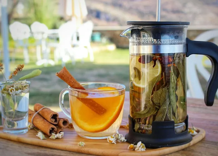 Ξενοδοχείο Vinifera Ephesus Σελτσούκ