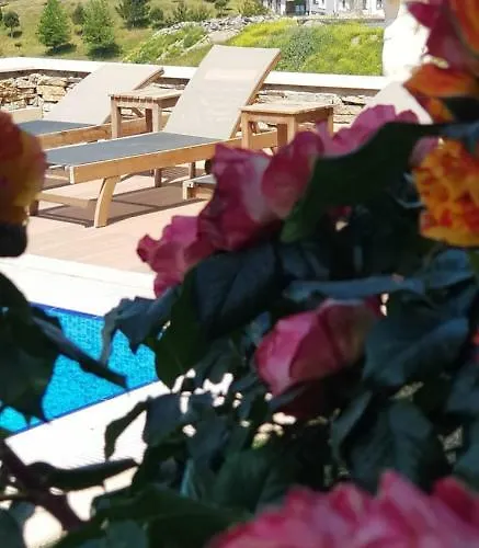 Ξενοδοχείο Vinifera Ephesus Σελτσούκ