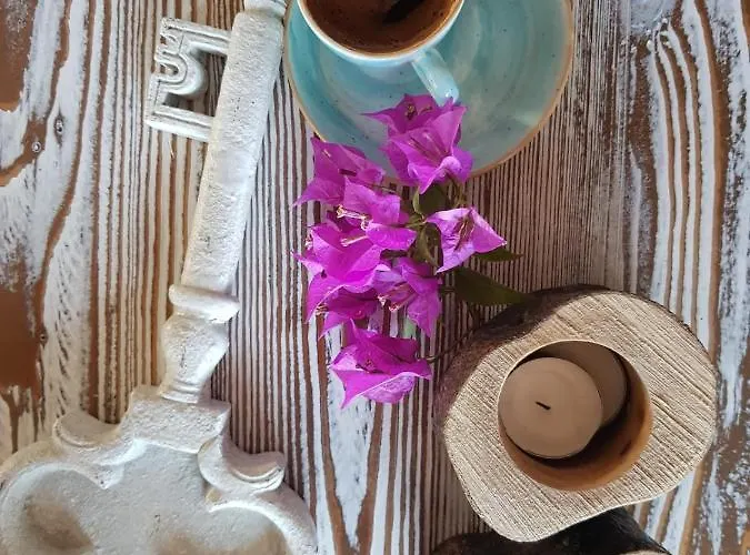 Ξενοδοχείο Vinifera Ephesus