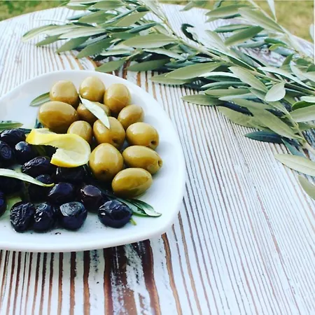 Vinifera Ephesus Hotel 3*